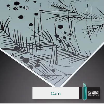 Cam